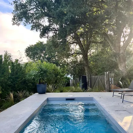Modern Close To Tarnos